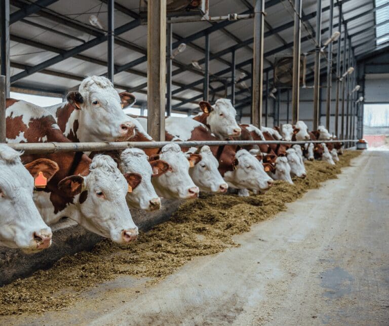 Exportações do Agronegócio chegam a US$ 11,57 bilhões em março