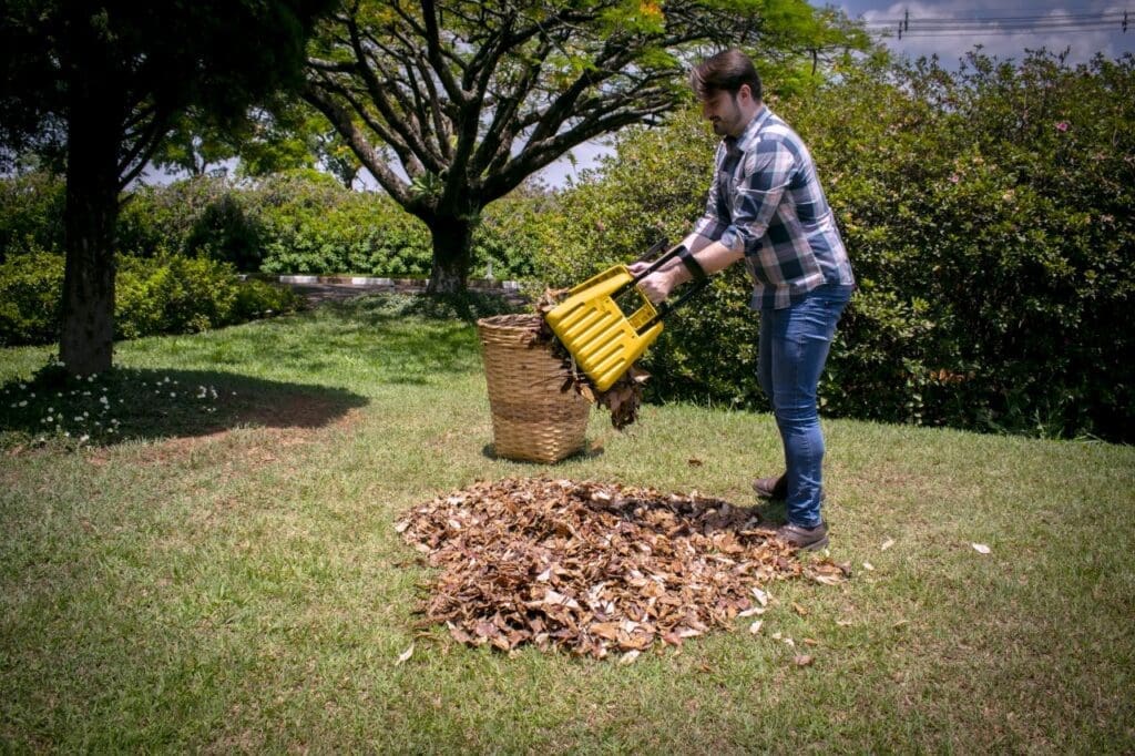 Como manter áreas verdes limpas e organizadas no outono