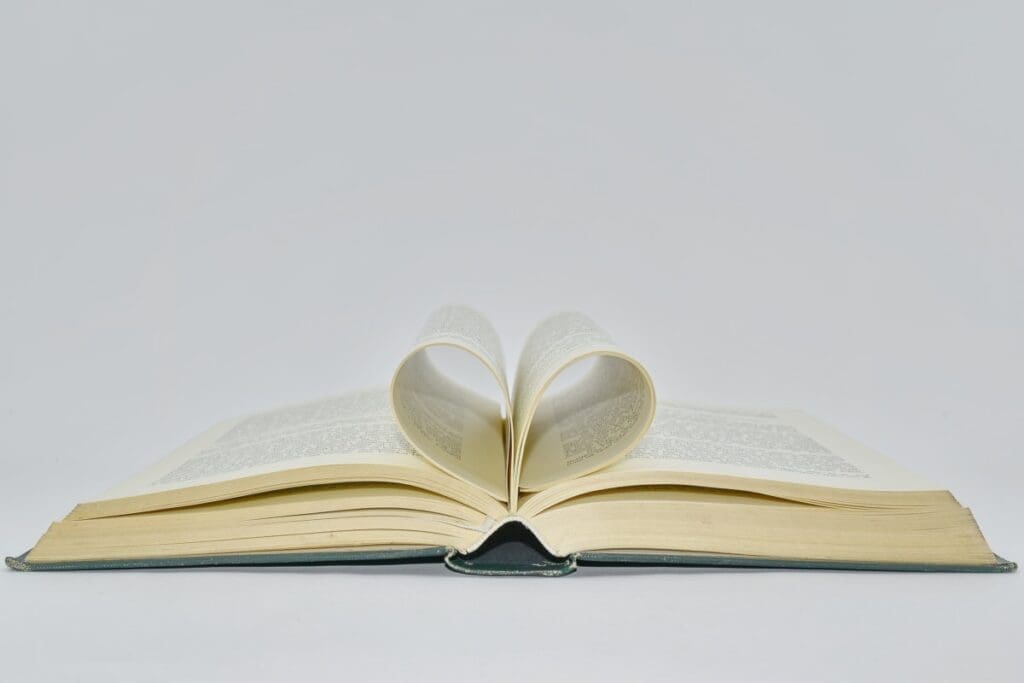 A literatura de Lucas Dolher