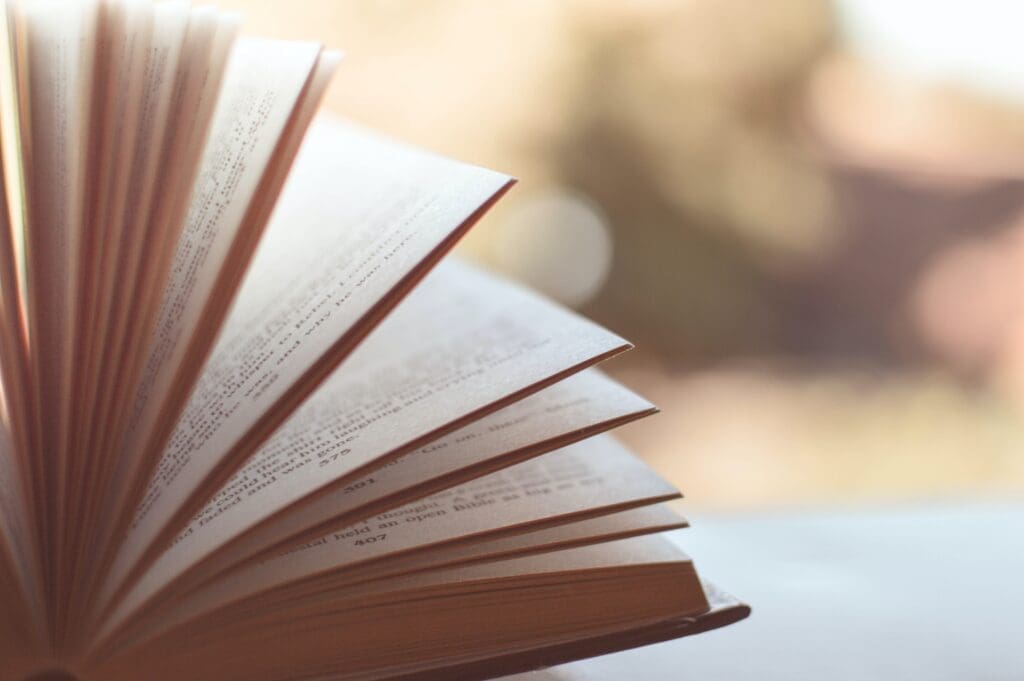 Literatura distópica – O conto da aia como mecanismo de análise de reflexão social (a organização social na república de Gilead na obra de Atwood)