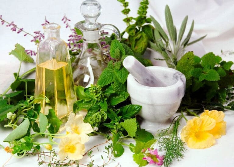 Importância da orientação e do acompanhamento no uso de plantas medicinais