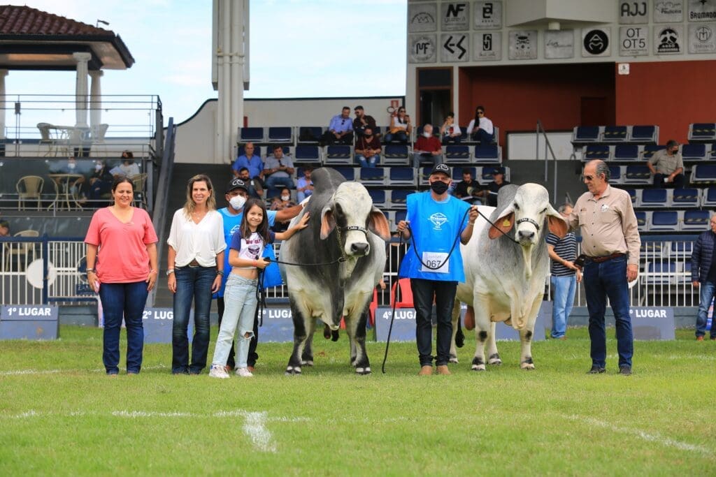Expositores fazem repeteco nas competições de Pista e Campo da 17ª ExpoBrahman