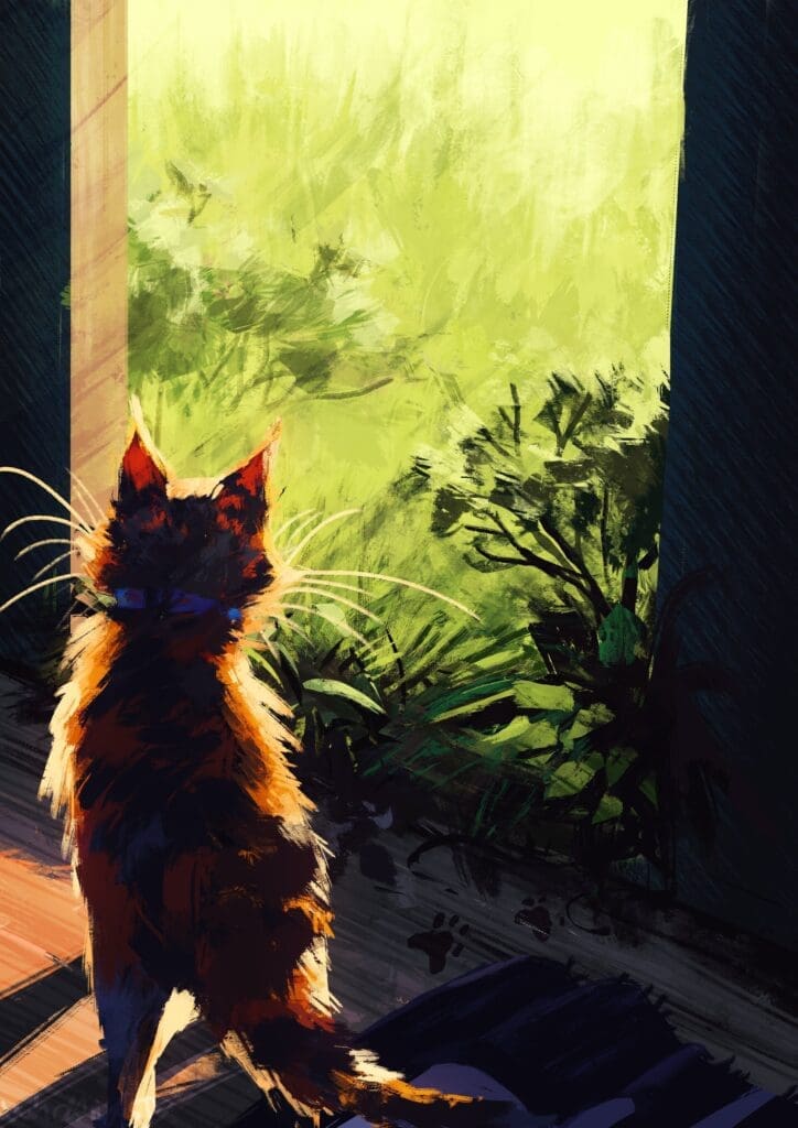 O Gato