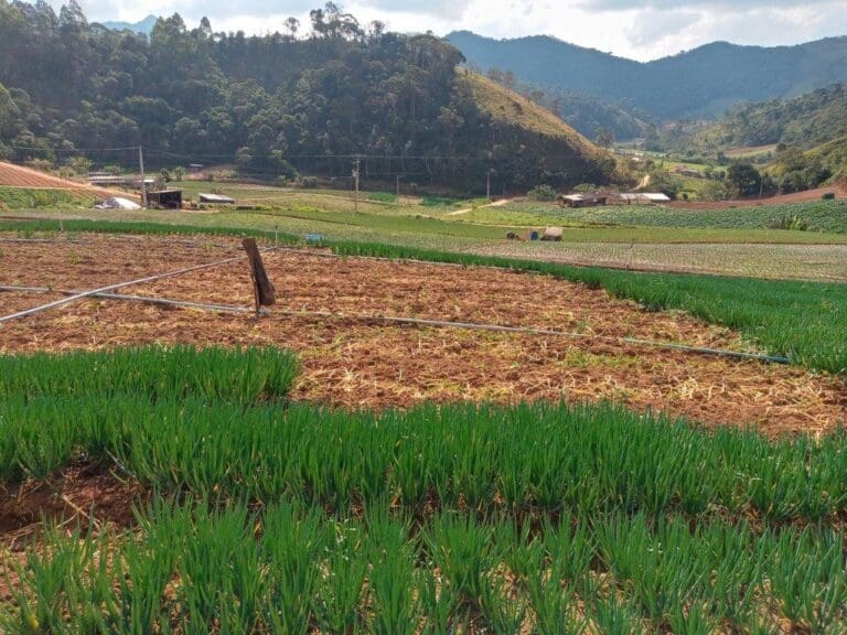 CEIVAP investe em infraestrutura verde na bacia do Paraíba do Sul