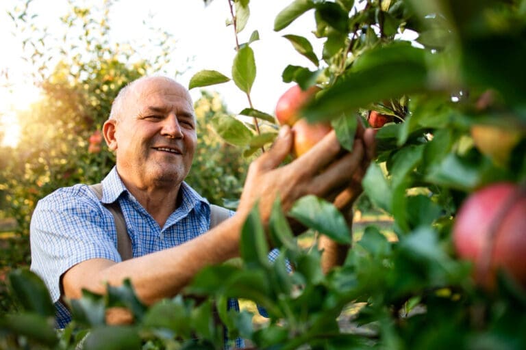 Como Manter A Família Unida Com A Holding Rural