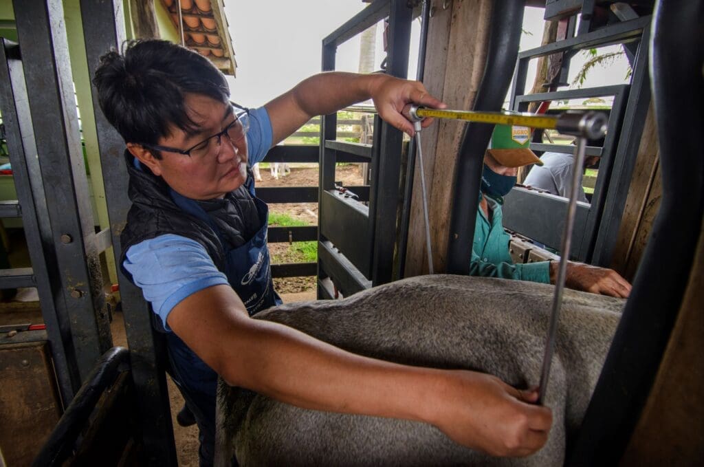 1º Simpósio Internacional Brahman/BoicomBula será no sábado