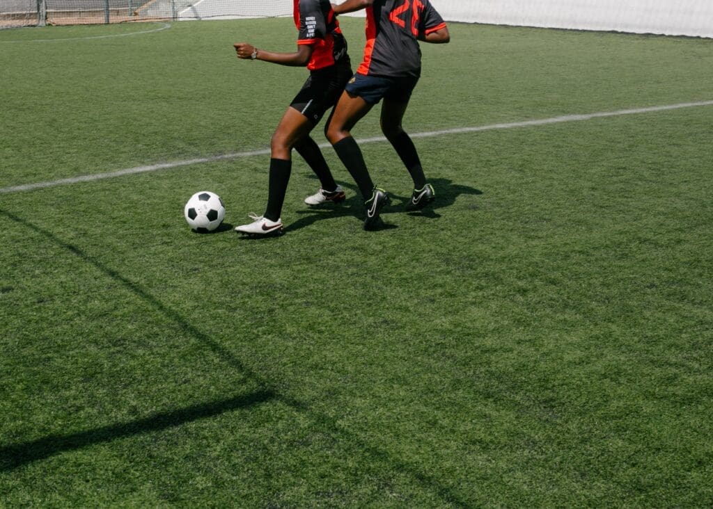 As zebras passearam nos gramados