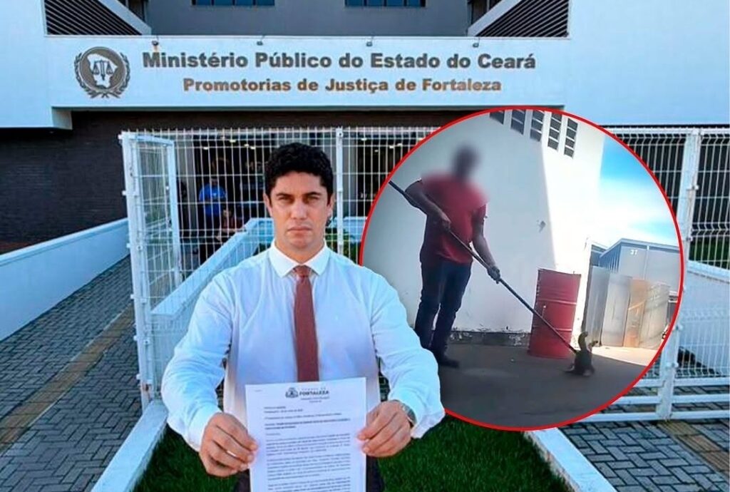 Manifestação por justiça mobiliza protetores após denúncia de maus-tratos contra 50 gatos no Jacarecanga
