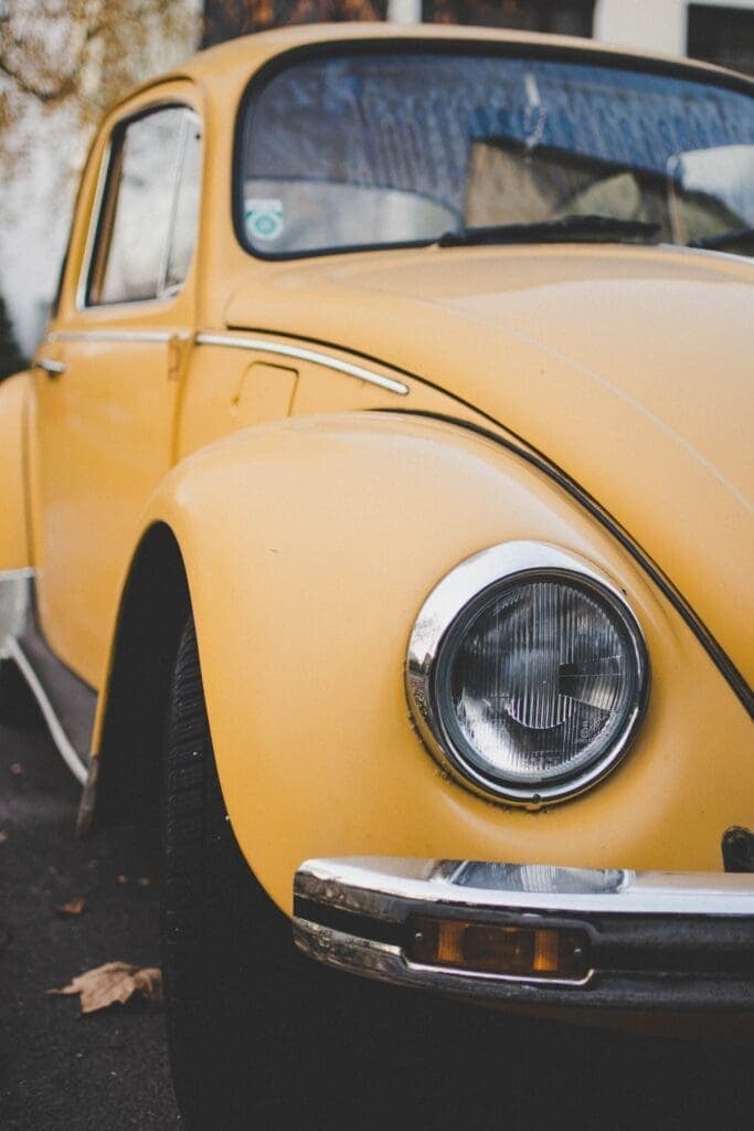 “Se meu fusca falasse”
