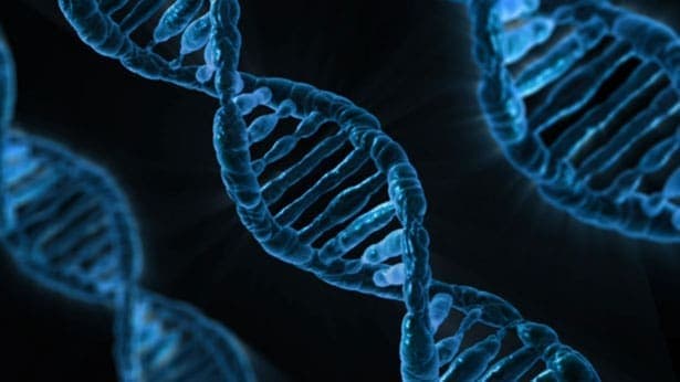 O laboratório pode ser condenado a pagar indenização em caso de resultado de falso negativo de DNA?