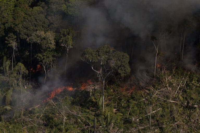 Desmatamento, aquecimento global, notícias falsas