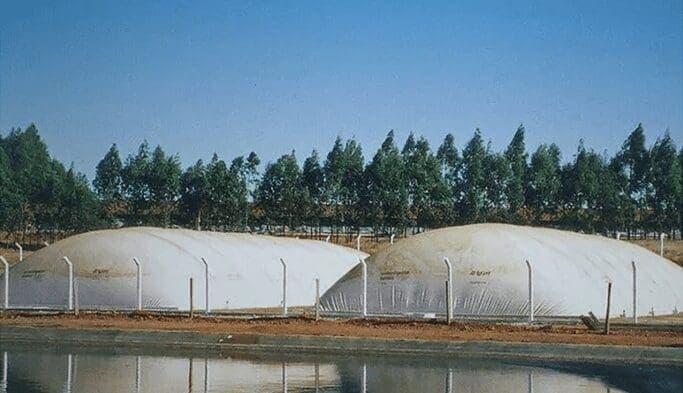 Biomassa: uma alternativa energética