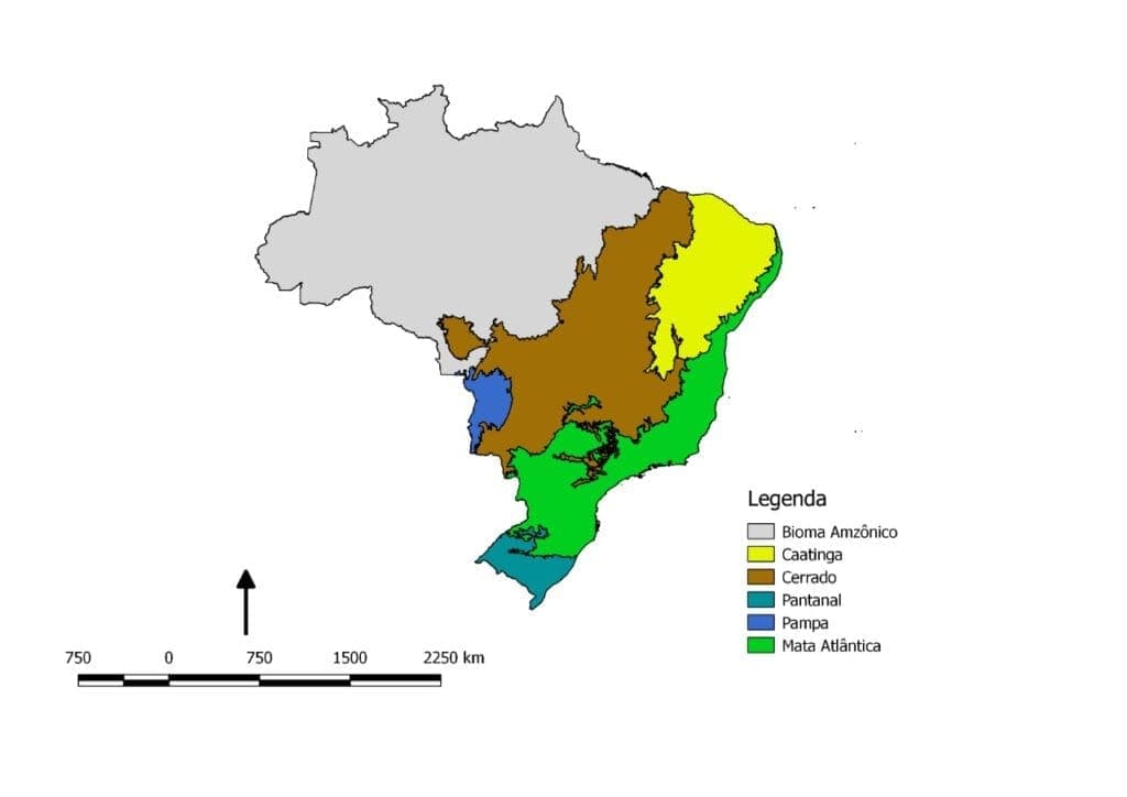 Biomas brasileiros