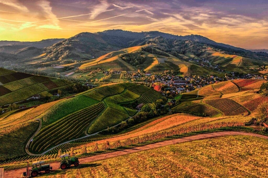 A propriedade rural e o investimento chinês à luz da lei n° 14.130/2021 (FIAGRO)