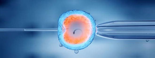 A reprodução humana assistida entre casais hétero e homoafetivos e seus aspectos legais