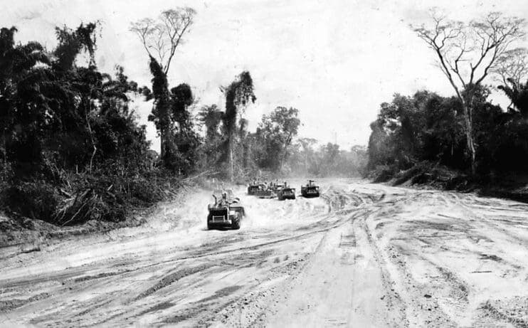 Problemas que estão prejudicando a floresta amazônica