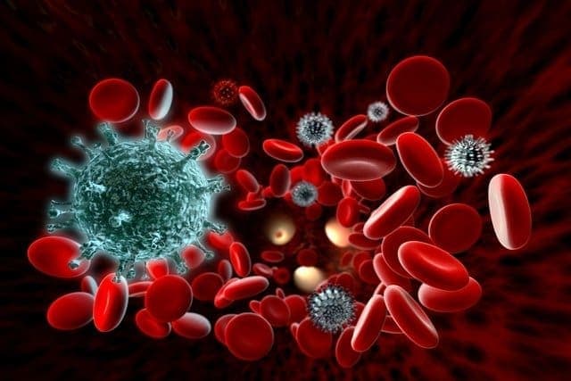 Avaliação dos marcadores sorológicos para o vírus HTLV em doadores de sangue