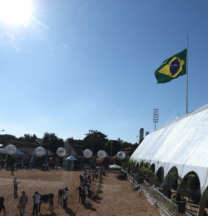 21ª Megaleite encerra vários com recordes