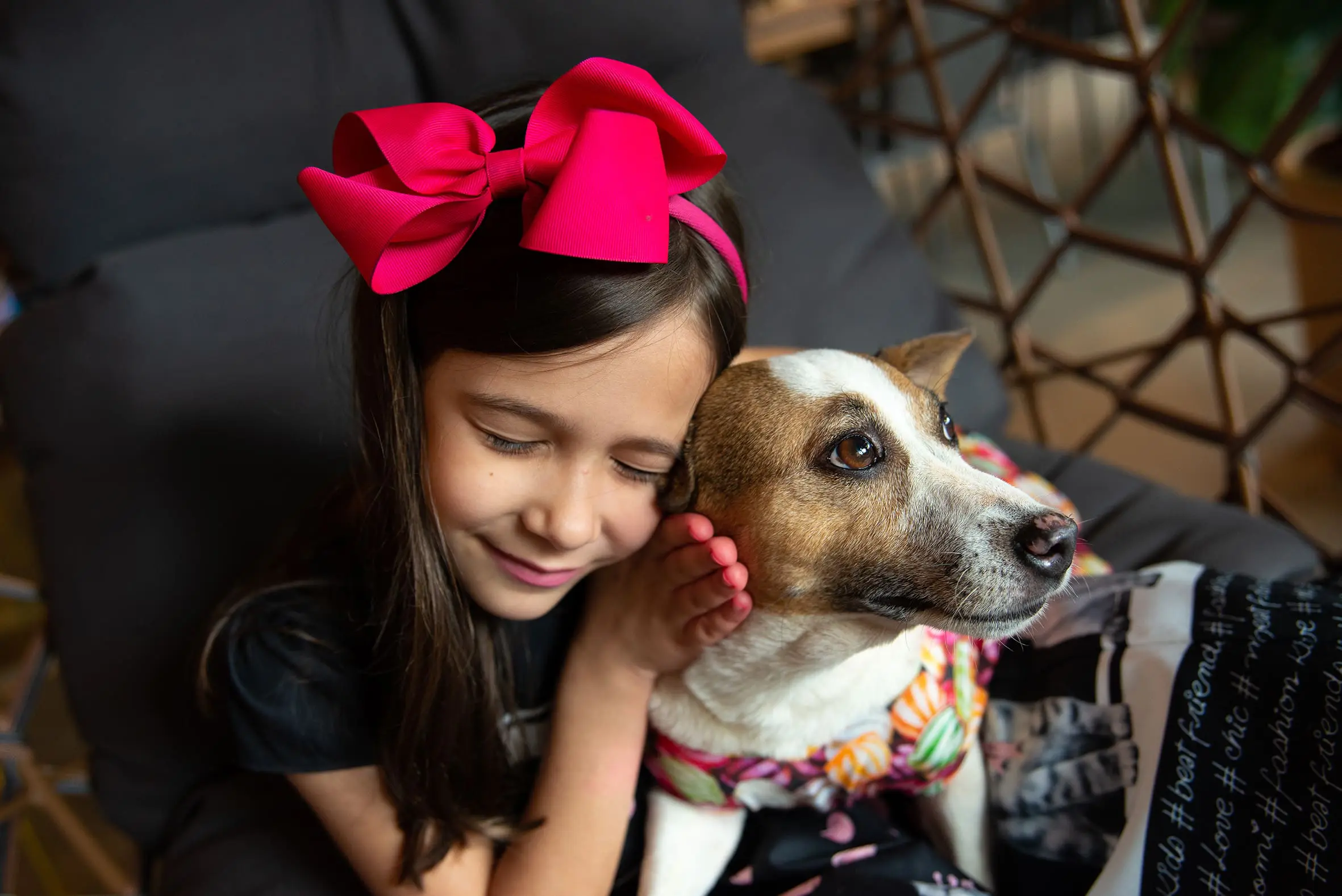 86699050-1052-4fb8-a14d-1a492fc5a81a