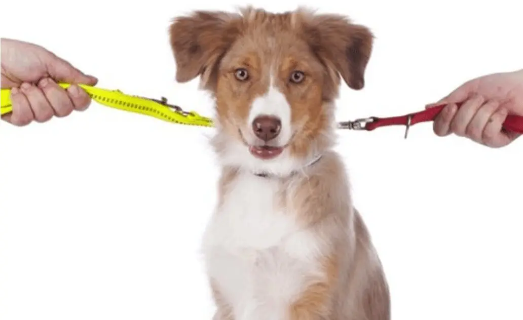 Captura de ecrã 2021-10-28 090348