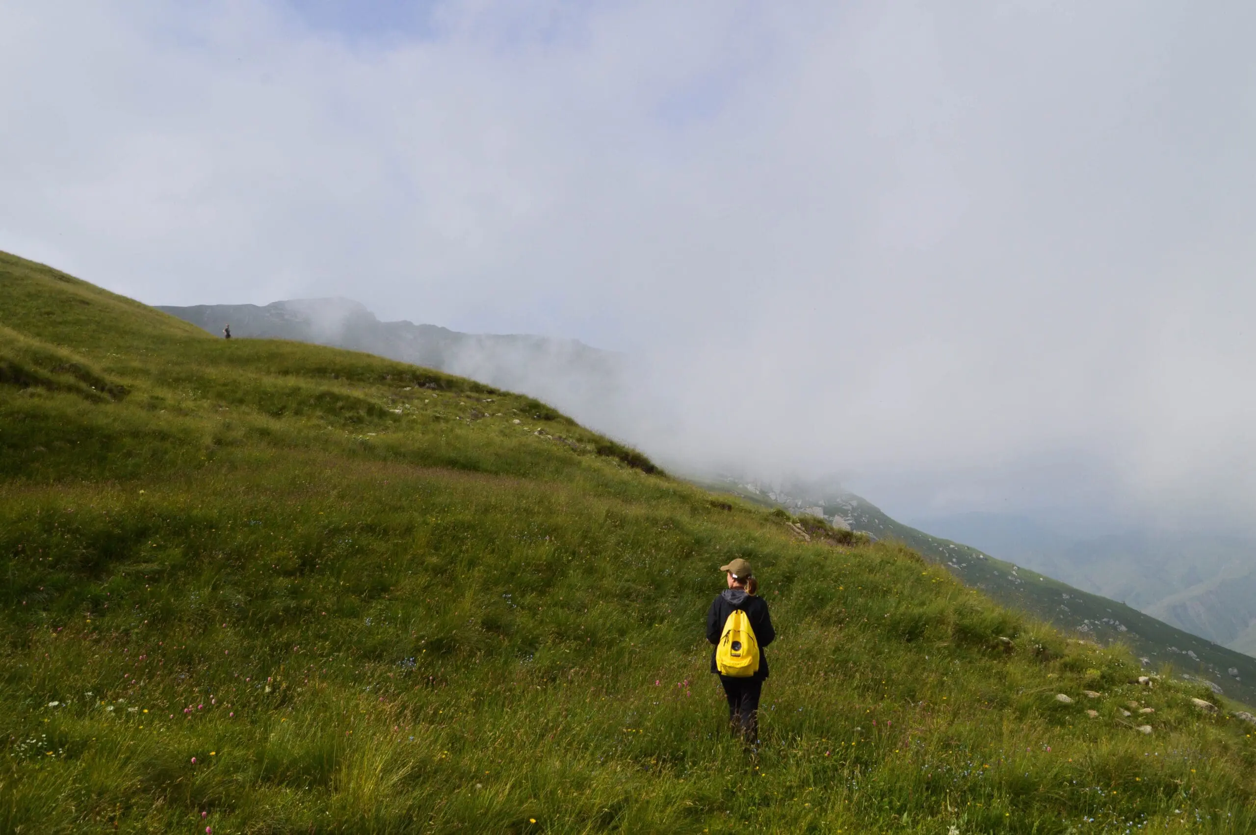 pexels-спиридон-варфаламеев-17157841