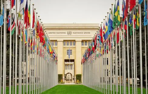 Coordenador do Interlegis na ONU