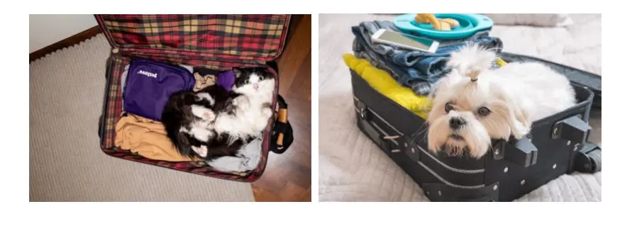 Captura de tela_10-2-2024_94222_webmail.jornaltribuna.com.br