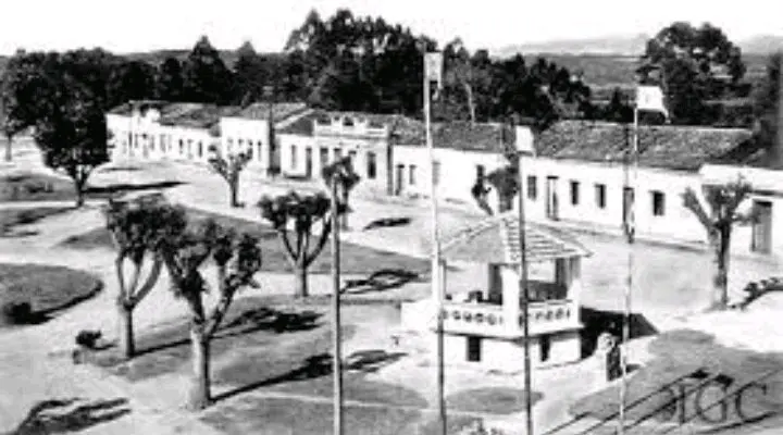 Screenshot_20250128-115930