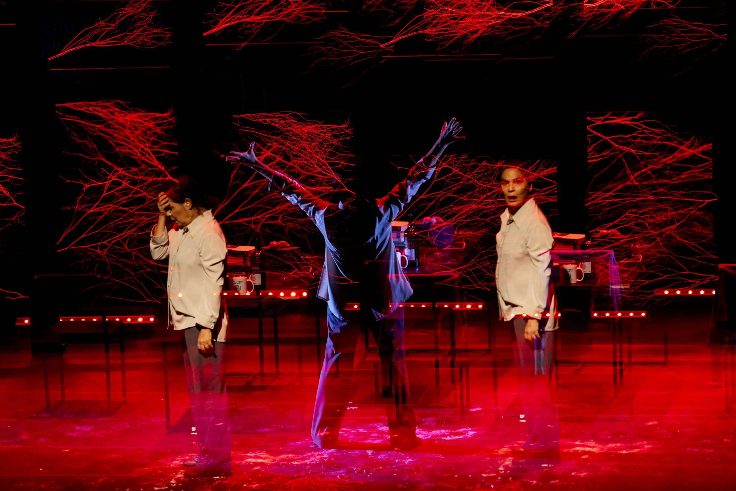 Crédito fotográfico: Annelize Tozetto