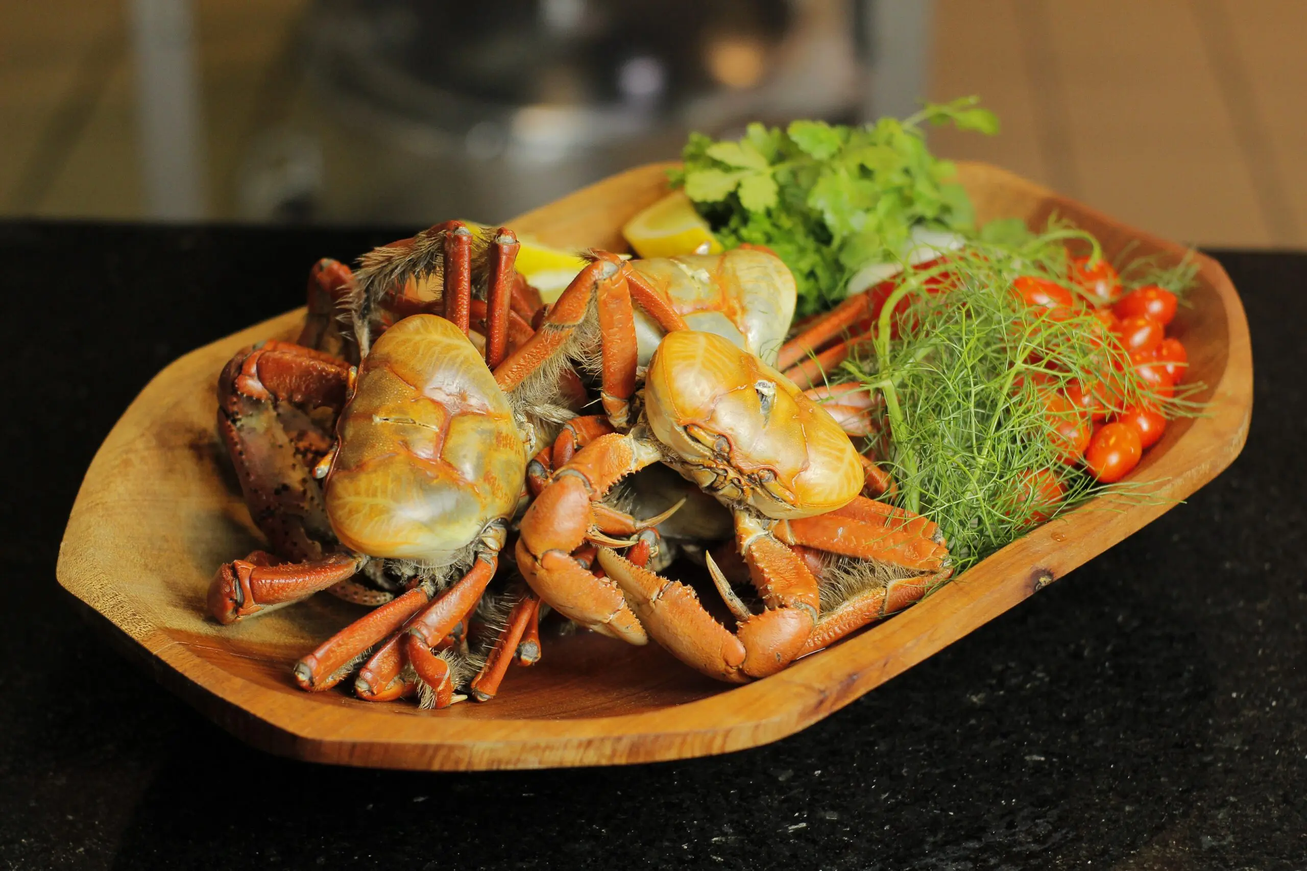 Caranguejada (Divulgacao)_19