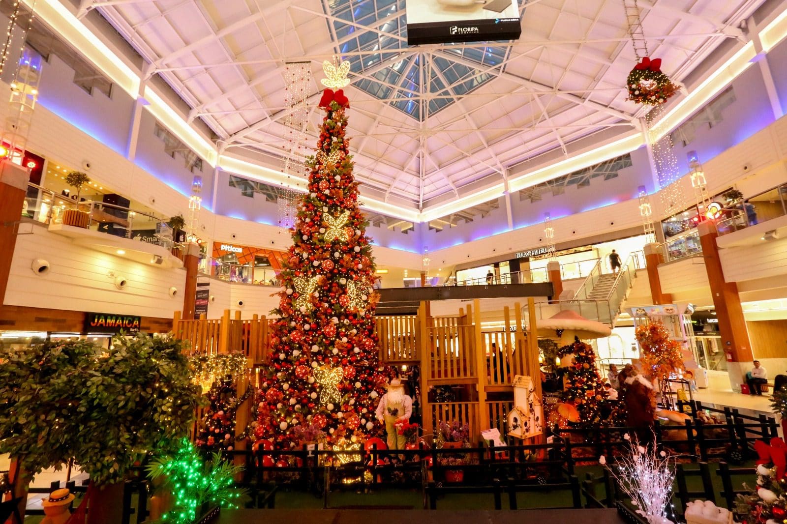 Natal 2023