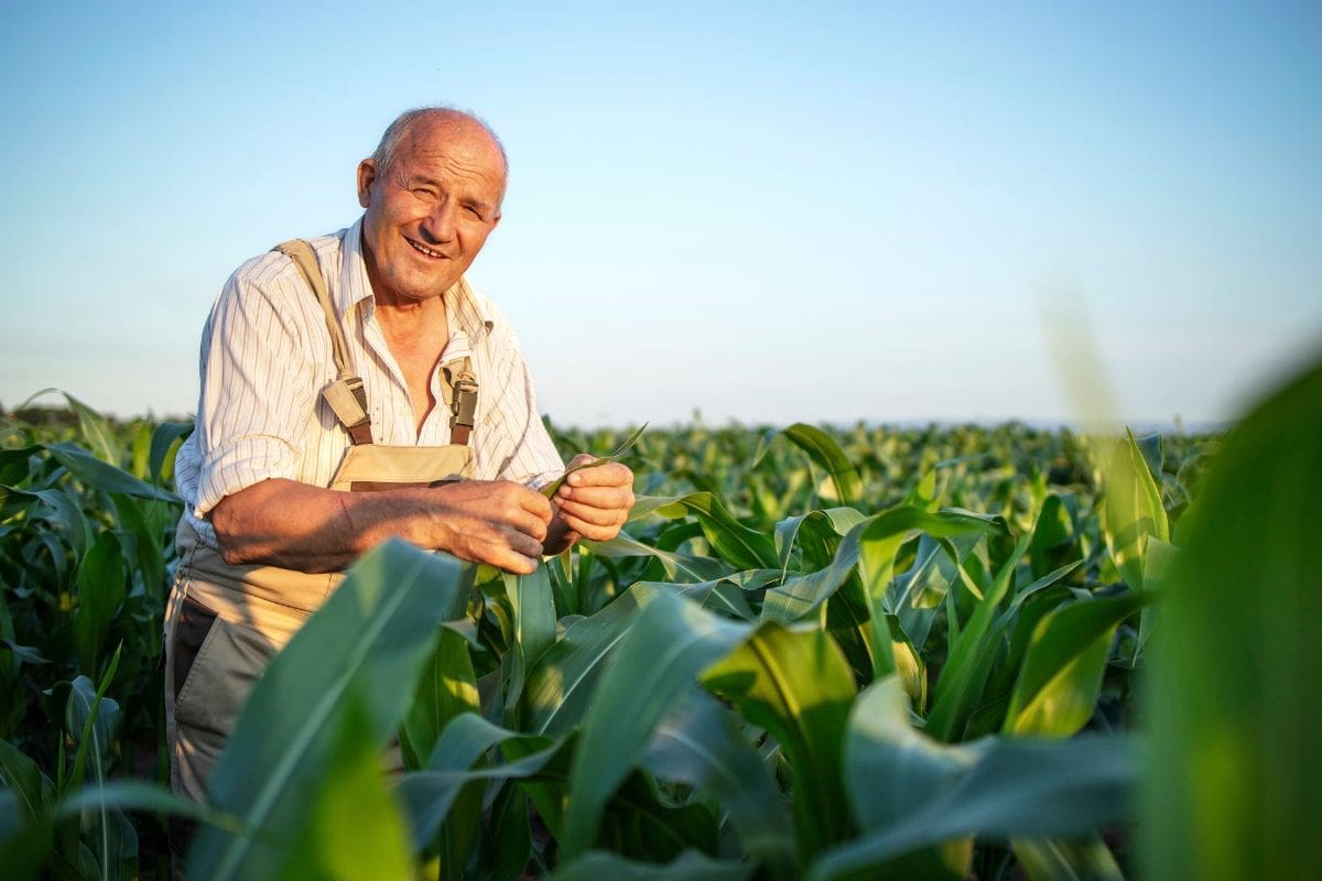Agricultor Familiar