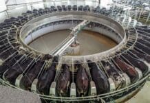 Especialistas alertam para os desafios do mercado global de lácteos