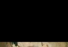 O Vigoroso Paradoxo da Cultura Brasileira: É Hora de Tirar o Fomento do Eixo e Conquistar o Mundo