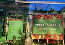 Ambev e Guaraná Antarctica levam a “Terra do Guaraná” à Belém e dão visibilidade a empreendedores da gastronomia amazônica