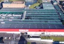 Rinaldi completa 56 anos com foco em expansão internacional: meta é dobrar presença global até 2028