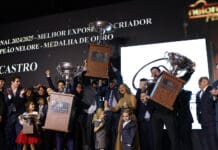 Destaques dos Rankings Nacionais da ACNB são premiados durante a Nelore Fest, em São Paulo