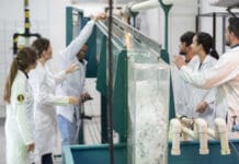 MEC comprova excelência Unoeste em Engenharias e Arquitetura