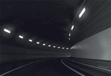 A sobrevivência que consome o futuro