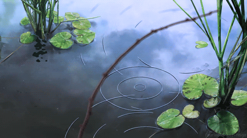 6bac7788e6e8a9691427736073ea12b8