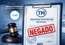 Suzane von Richthofen: Registro de Marca Negado pelo INPI – Entenda o Caso e a Importância da Proteção Registro de marca - Marcas e Patentes VIX