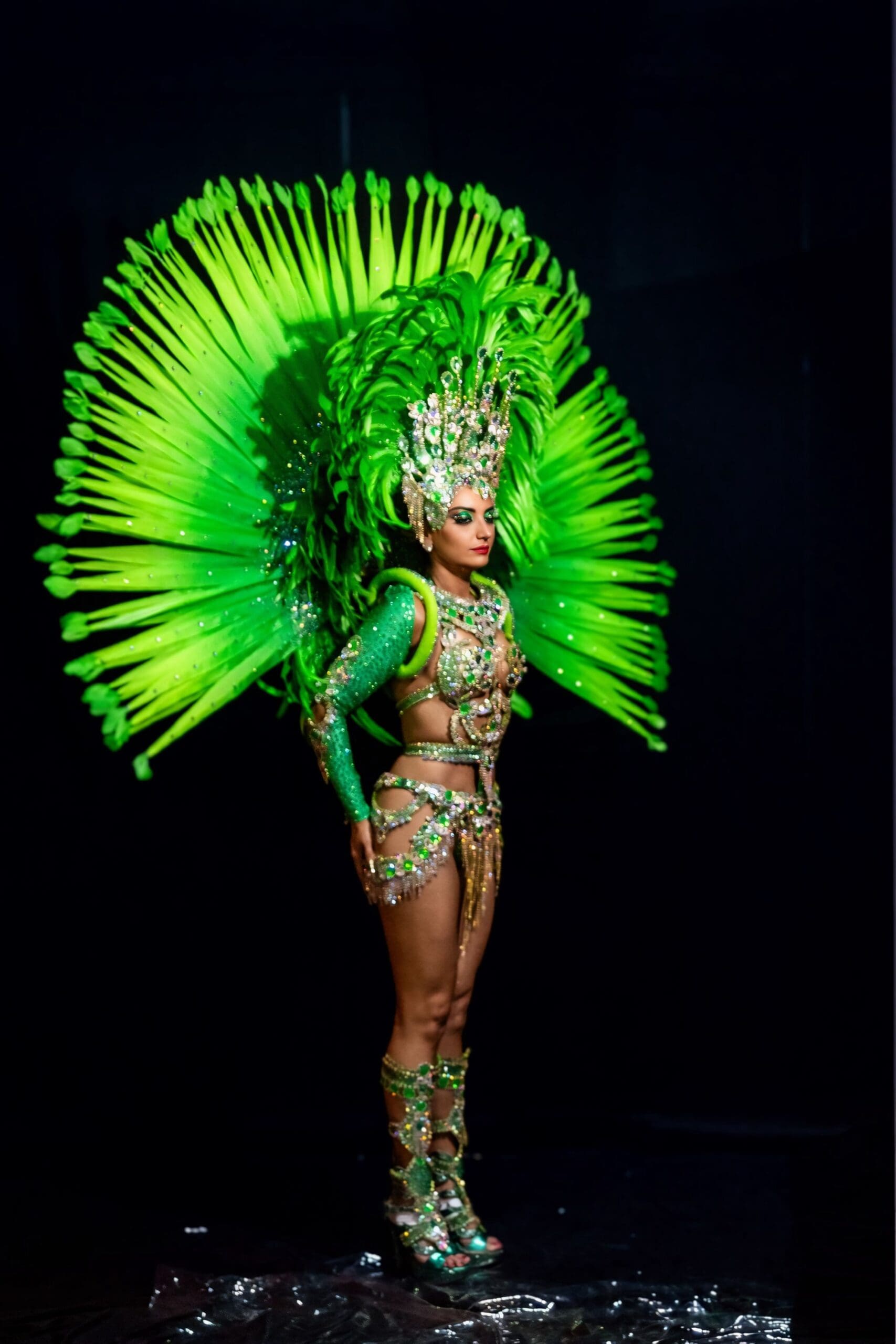 De verde, a rainha de bateria da Os Protegidos da Princesa une luxo, consciência e simbolismo em desfile marcado por resistência e superação