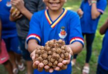 Educação que brota da terra estudantes aprendem na prática a importância do solo