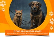ABRIL LARANJA: Comissão Especial de Direito Animal da OAB/GO lança cartilha educativa de combate aos maus-tratos