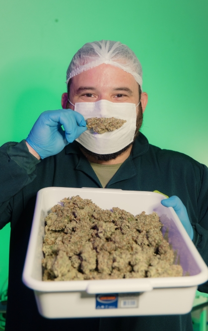 Ítalo Coelho: o advogado que transformou o habeas corpus da cannabis medicinal em ferramenta de acesso à saúde